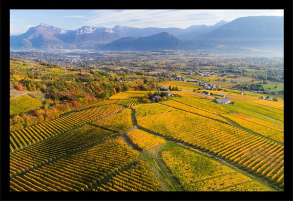 Table d'hôte dans les vignes - pour 1 personnes